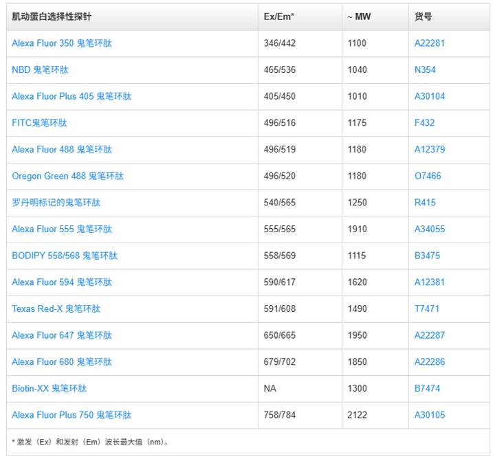 表格

AI 生成的内容可能不正确。