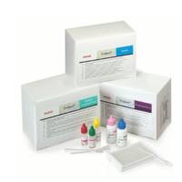 Remel ProSpecT隐孢子虫、阿米巴、贾第虫等寄生虫检测试剂盒 R2458496等