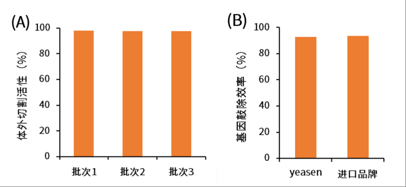 干货 | 6个月定制一剂药！从KJ的奇迹看基因编辑如何改写“罕见病无解”定律