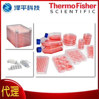 thermo nunc 96孔细胞 培养皿