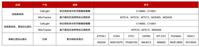 【国自然热点】 线粒体研究工具大全-赛默飞