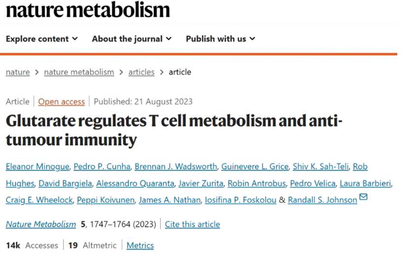 戊二酸联合巴西胎牛血清优化T细胞代谢，提升抗肿瘤免疫潜力-赛默飞