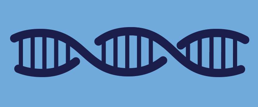 引物的作用和引物设计原则及软件推荐-赛默飞