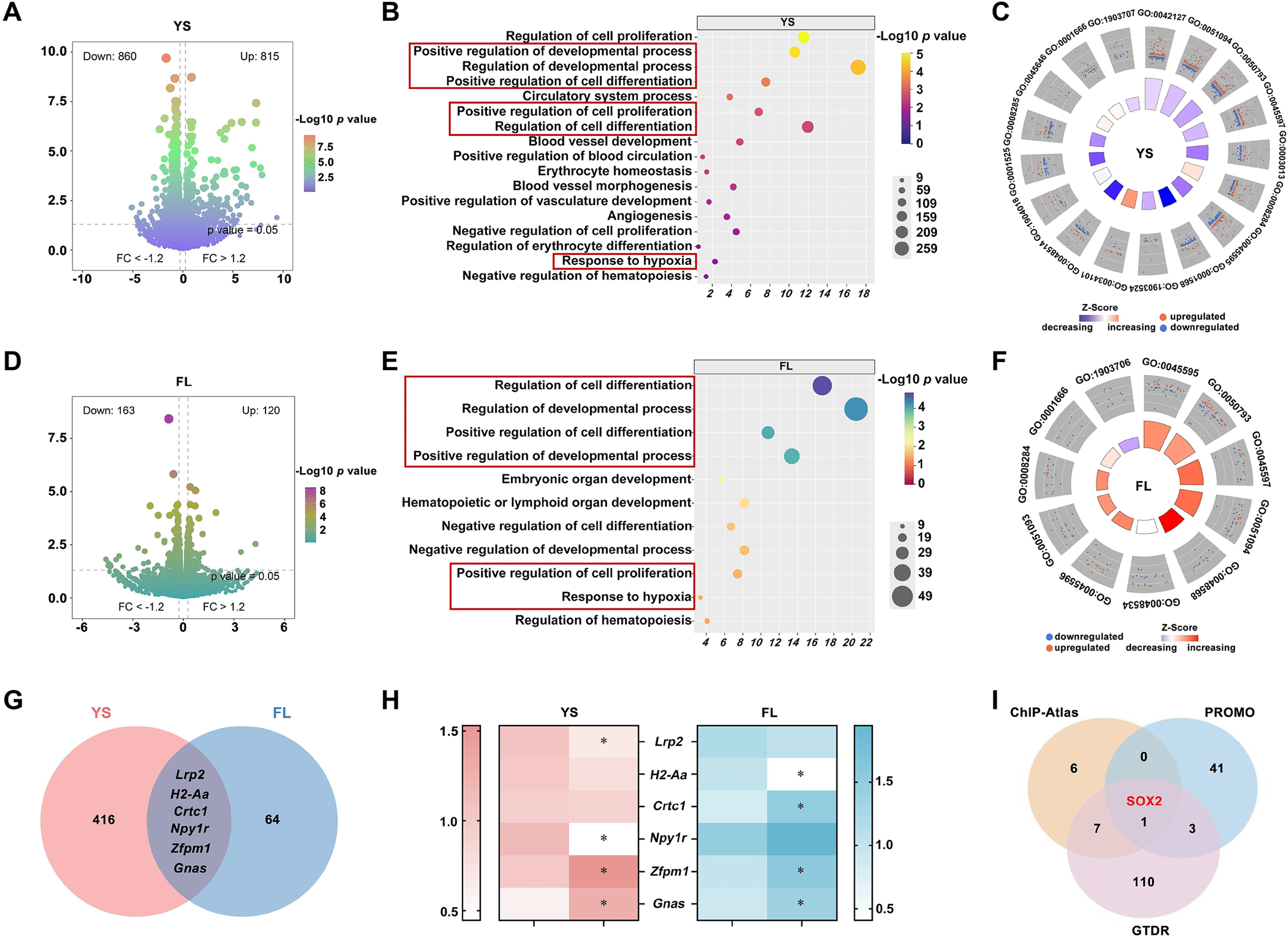 图5.胚胎 10.5 天的卵黄囊（YS）和 14.5 天的胎儿肝脏（FL）在宫内暴露于 PM2.5&nbsp;后的转录组分析。