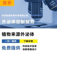 植物来源外泌体/外泌体分离、提取、检测、表征