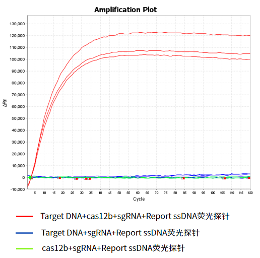 干货 | 6个月定制一剂药！从KJ的奇迹看基因编辑如何改写“罕见病无解”定律