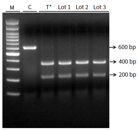 干货 | 6个月定制一剂药！从KJ的奇迹看基因编辑如何改写“罕见病无解”定律