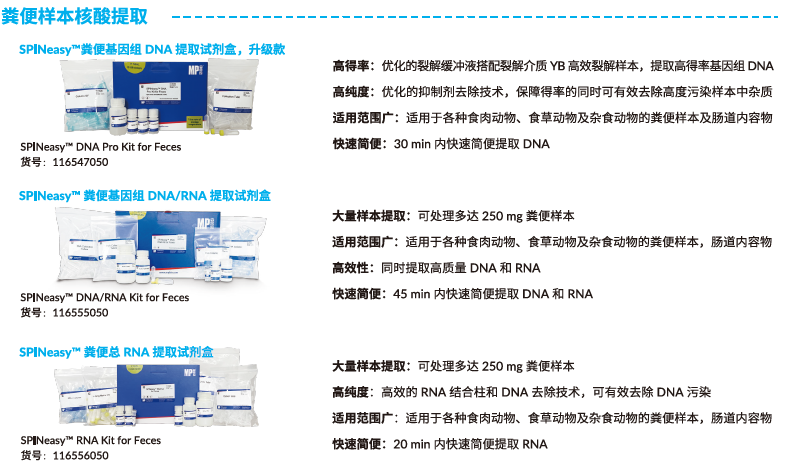【文献解读】肠道微生物 L-鸟氨酸在增强乌司替尼单抗治疗克罗恩病疗效中的协同作用