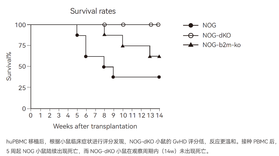 科研必备：不同NOG衍生品系的特点与应用场景解析