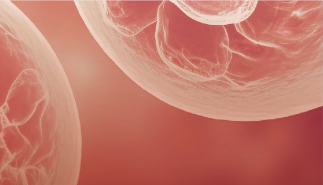 CHO细胞的发展史及分类