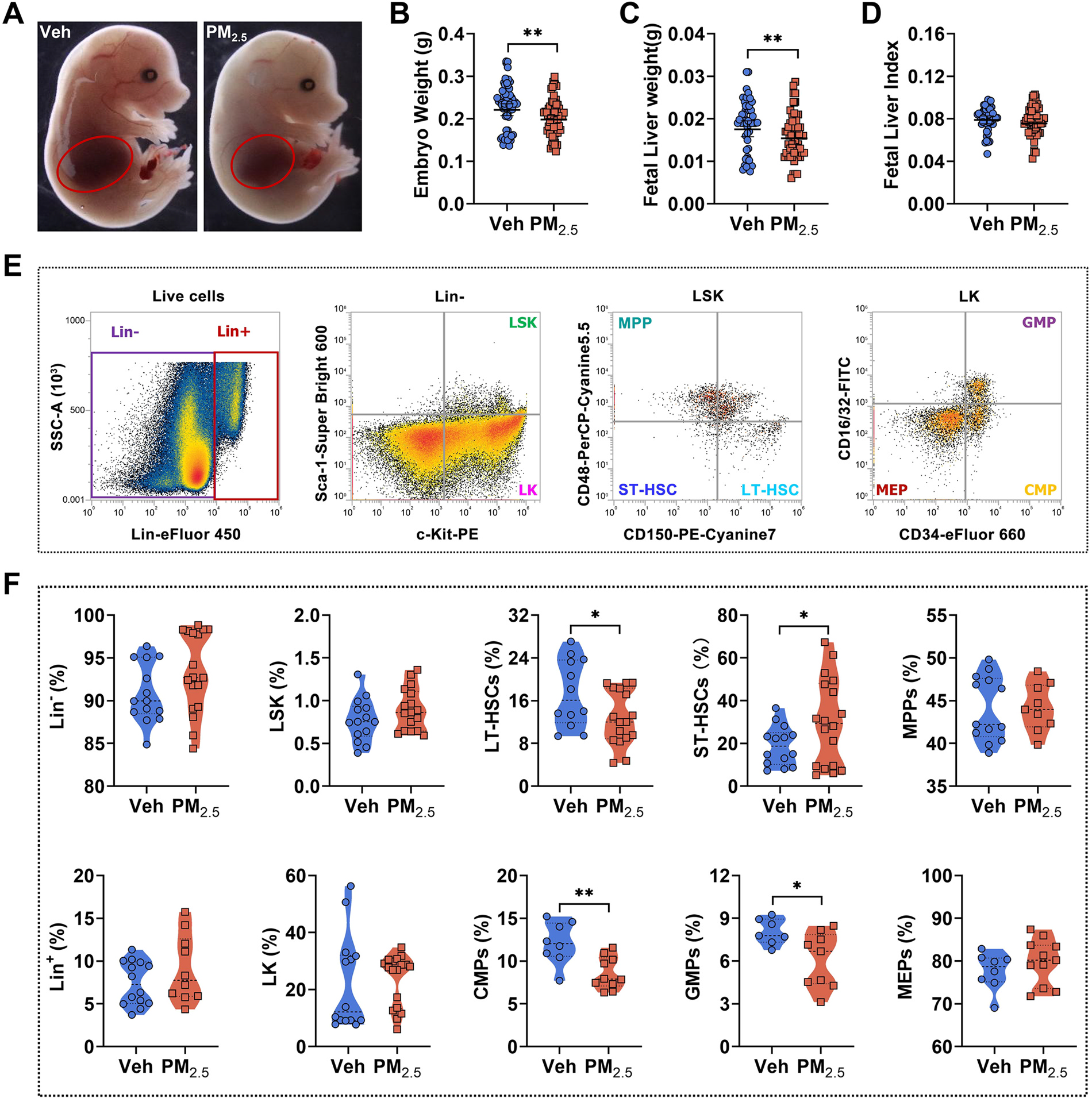 图3.&nbsp;胎儿期 PM2.5暴露影响 E14.5 时胎儿肝脏（FL）的造血功能。