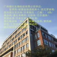 蜱传脑炎检测试剂盒 使用说明书