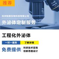 工程化外泌体/外泌体工程化修饰/外泌体表征