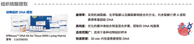 【文献解读】肠道微生物 L-鸟氨酸在增强乌司替尼单抗治疗克罗恩病疗效中的协同作用