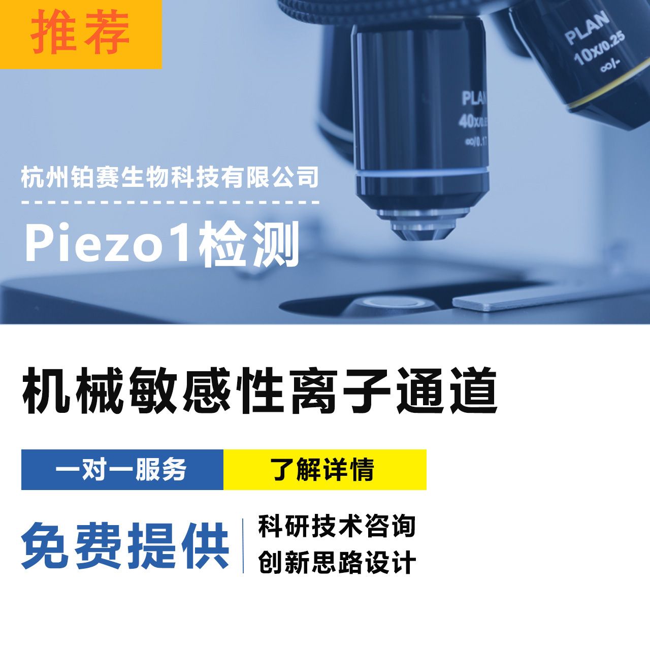 Piezo1常规检测方法#机械敏感性离子通道