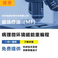 病理微环境磁能重编程技术/磁场疗法（MF）/物理疗法