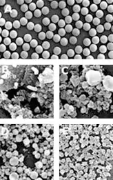 Dynabeads磁珠分选的特点与应用全解析-赛默飞 