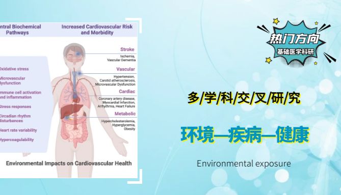 环境发育毒性范本：“PM2.5暴露模型+表型分析+转录组”，山西大学环境与健康研究团队多学科交叉研究发1区Top！