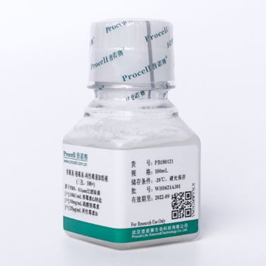 青霉素-链霉素-两性霉素B溶液(100×)