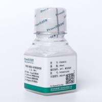 青霉素-链霉素-两性霉素B溶液（100×）