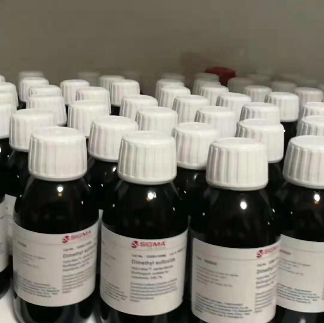 WB转膜海绵(免滤纸,70×90mm)