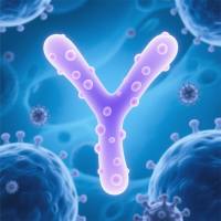 抗小鼠Ly6G体内抗体, 克隆号1A8,IV0103-5mg