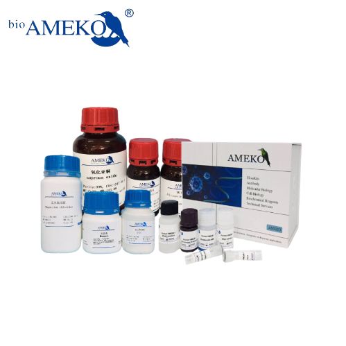 Tris-HCl缓冲液(0.01mol/L,pH7.0-9.0,RNase free),RC62081-500ml