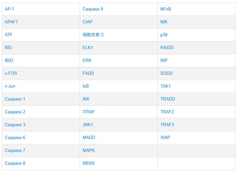 TNF肿瘤坏死因子信号通路及功能作用介绍-赛默飞