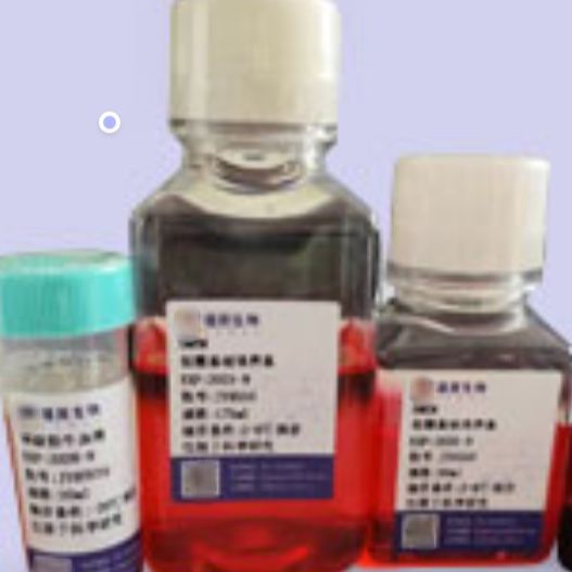 血管平滑肌细胞诱导钙化试剂盒