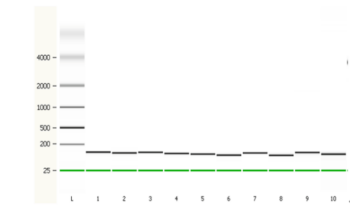 干货 | 6个月定制一剂药！从KJ的奇迹看基因编辑如何改写“罕见病无解”定律