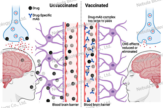 诊断原料讲堂之十四 ：药物滥用生物标志物