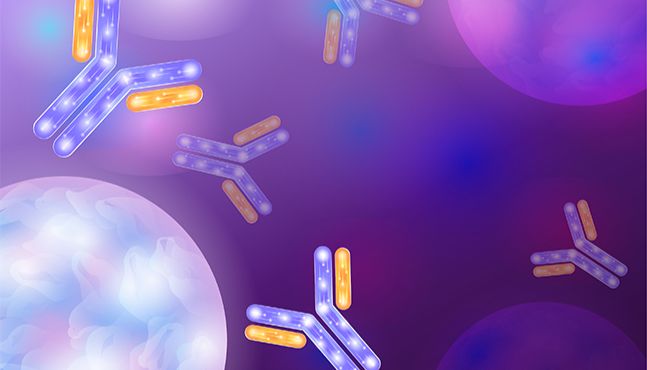 阳离子交换层析在ADC纯化中的应用