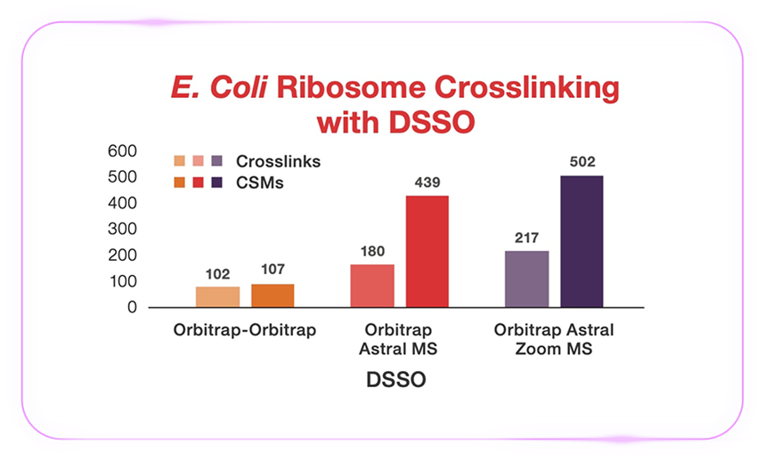 「质」敬未来:Zoom 视角下的 Orbitrap Astral 质谱仪解锁生物宇宙的多重可能-2