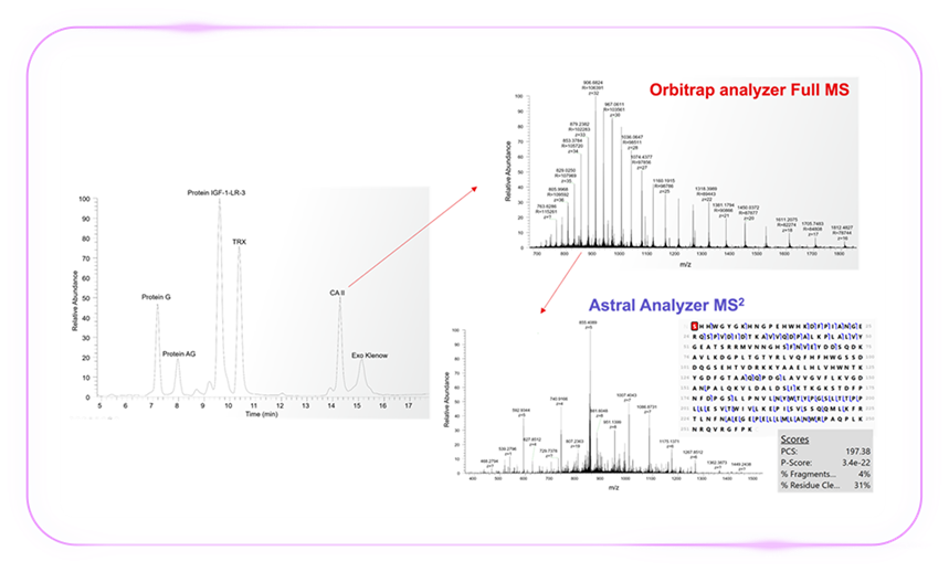 「质」敬未来:Zoom 视角下的 Orbitrap Astral 质谱仪解锁生物宇宙的多重可能-2