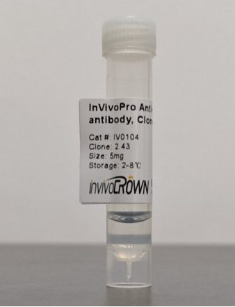 InvivoCrown-InVivoPro抗小鼠CD8α体内抗体，2.43克隆，科研好物低价享
