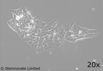 7c1d9000-c7ef-4cf3-ab81-76c8bf756581