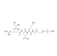  CREKA-PEG-NH2   NH2-PEG-CREKA    Cys-Arg-Glu-Lys-Ala-PEG-NH2/Amine 氨基-聚乙二醇-肿瘤靶向蛋白肽