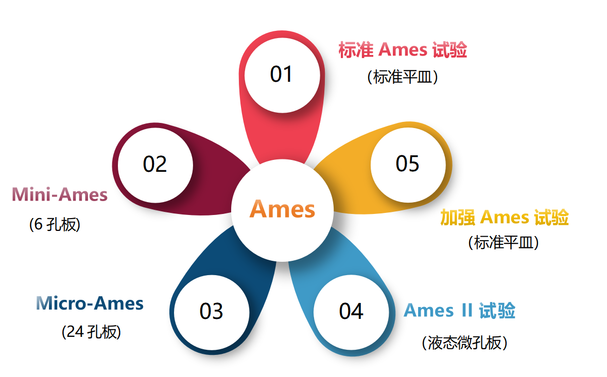 不同类型的Ames试验菌株如何选择