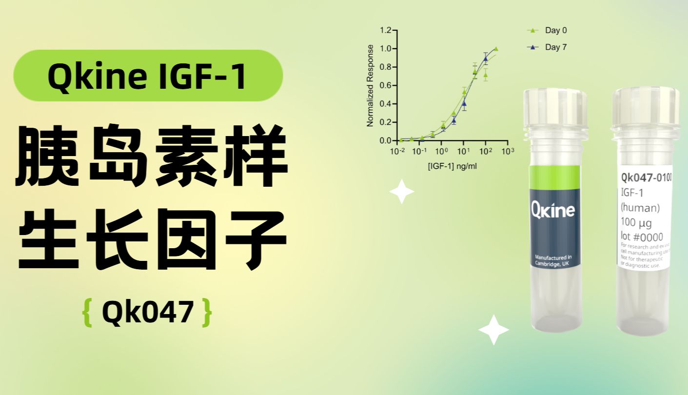 Qkine细胞因子 | IGF-1（Qk047）胰岛素样生长因子