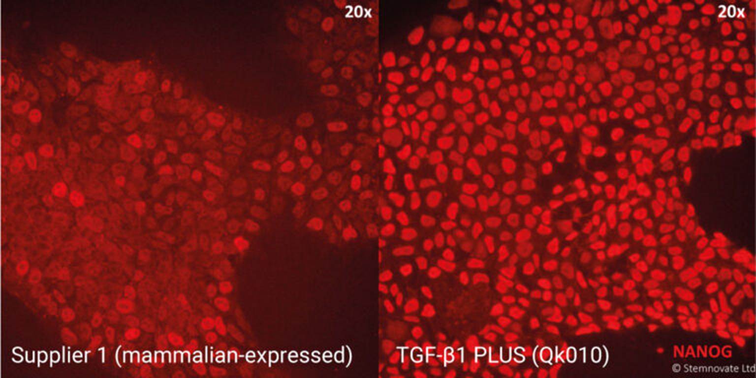 5e5d77b7-cf61-4b53-8cc2-3e43a49b7d49