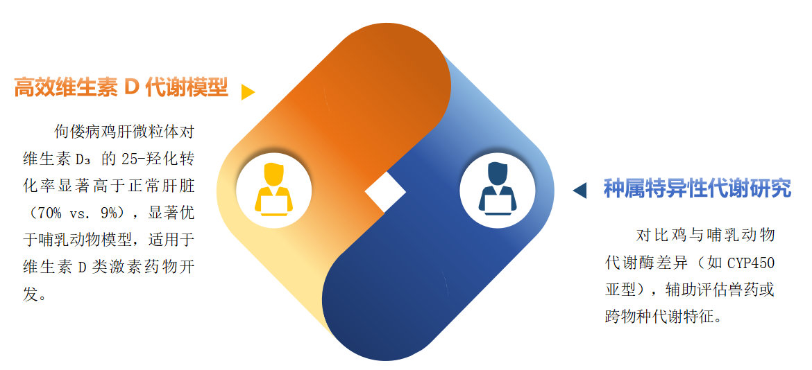 微粒体定制系列（一）——鸡肝微粒体（Chicken Liver Microsomes）