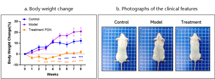 SLE动物模型助推疾病机制解析与治疗创新