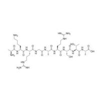 AKRGARSTA  2031154-77-3  Ala-Lys-Arg-Gly-Ala-Arg-Ser-Thr-Ala   肿瘤穿透肽（LinTT1）