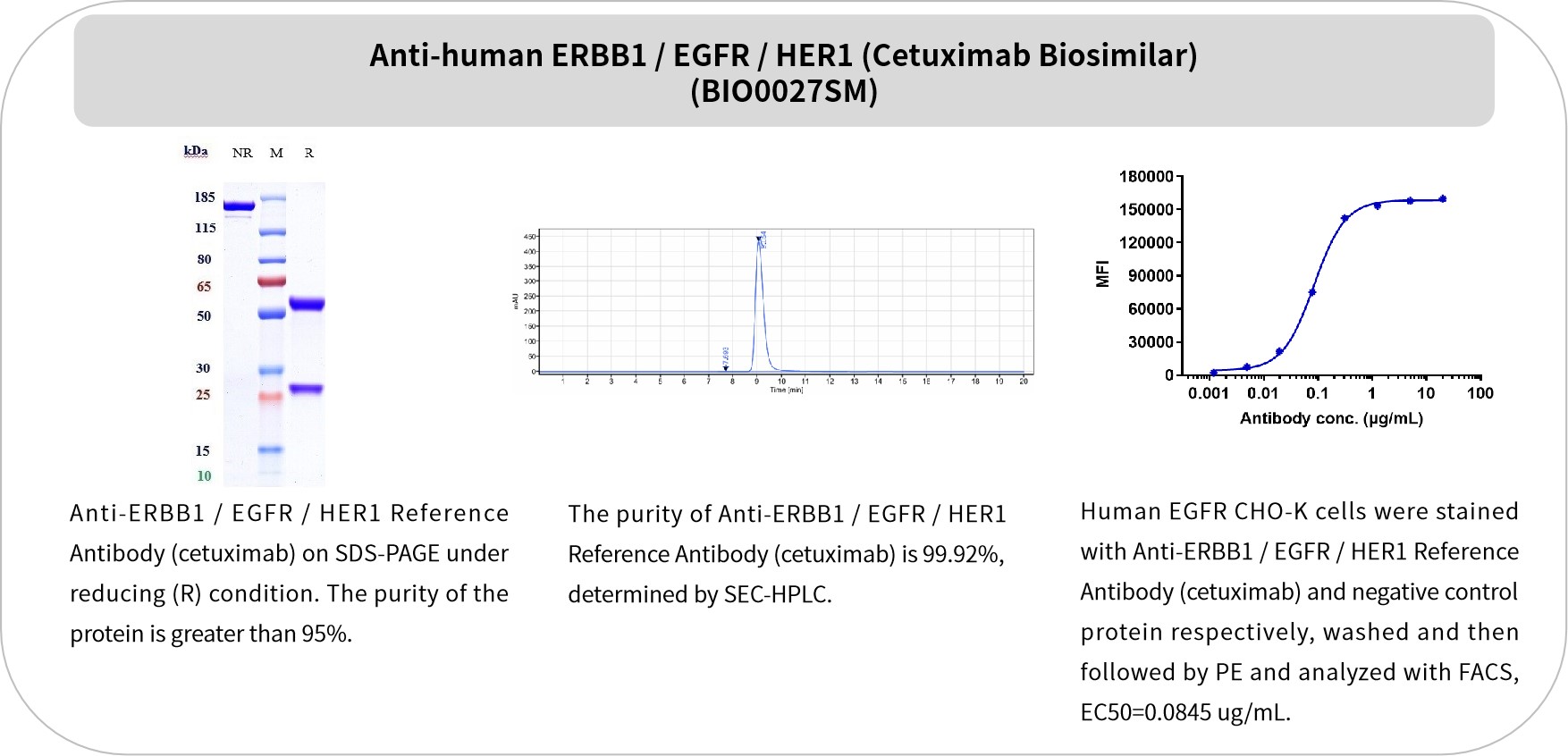 Biosimilar 抗体：中国创新药崛起浪潮下的高性价比选择