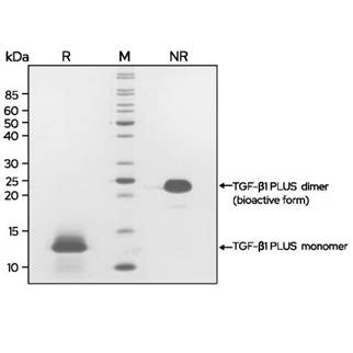 20261eaf-d96a-442a-ac63-87cc9b910cdf