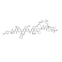 SH/Thiol/HS-PEG-YHWYGYTPQNVI  SH-PEG-GE11   GE11-PEG-SH    巯基-聚乙二醇-EGFR靶向肽