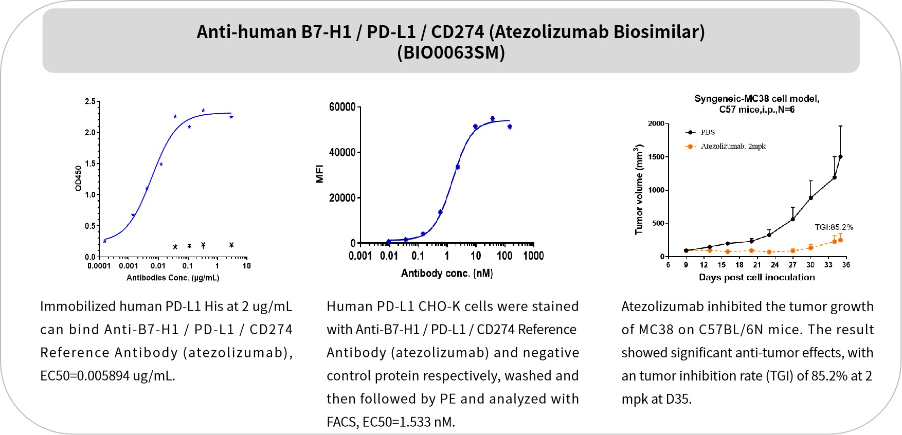 Biosimilar 抗体：中国创新药崛起浪潮下的高性价比选择