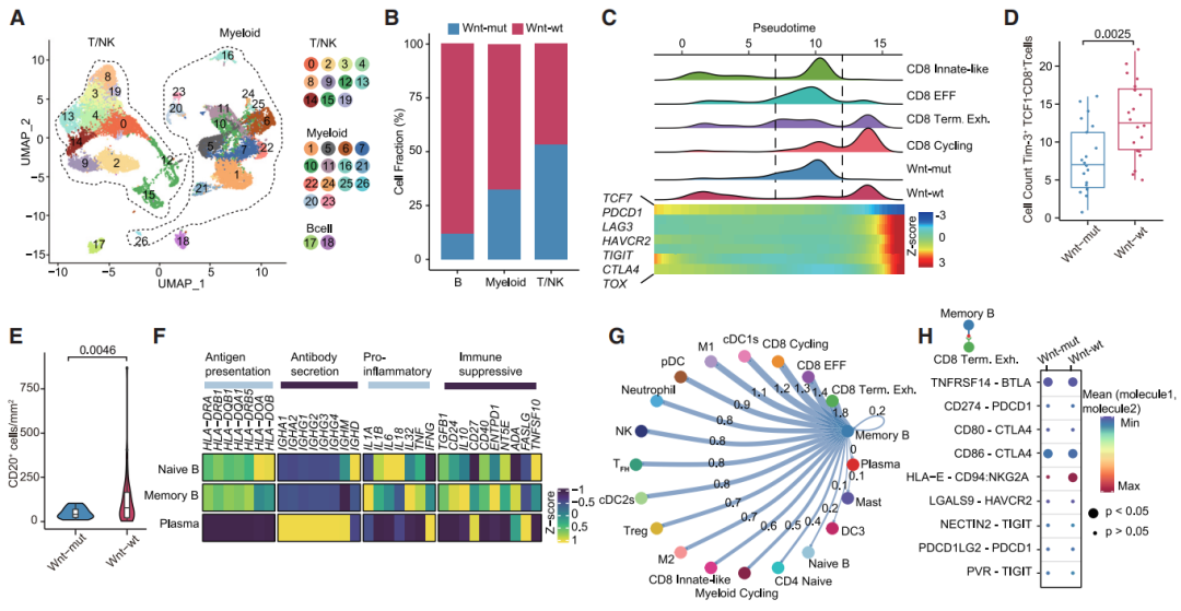 技术资料图片13