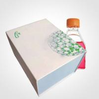 HCC1954人乳腺导管癌、HCC1954细胞