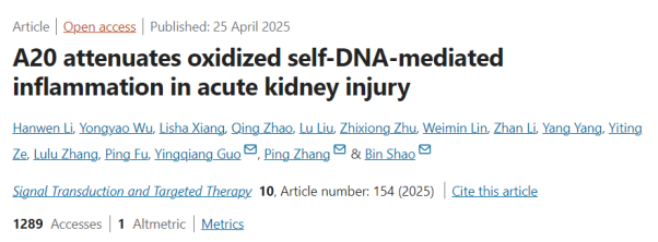 STTT（IF=40.8）丨氧化自身 DNA 与急性肾损伤：A20 如何精准调控炎症反应？